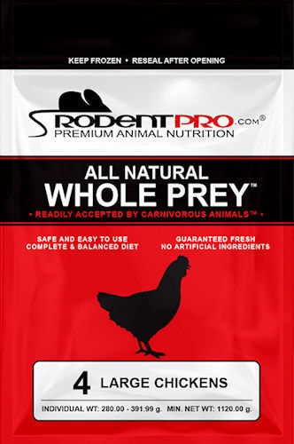 Chicken feeders pets outlet at home